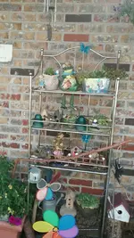 20170809_113254_resized.webp 20170809_113254_resized.webp