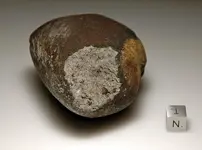 georgia_meteorite.webp