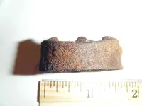 Iron Ring Side view 1.webp