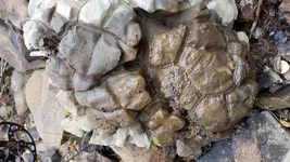 20170922_112024.webp