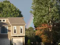 PA150368.webp