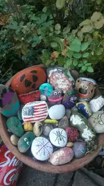 20170815_081207_resized.webp 20170815_081207_resized.webp