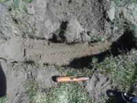 DSCF1476.webp