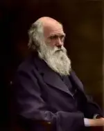 darwin.webp