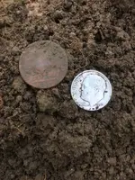 ImageUploadedByTreasureNet.com1505051811.214302.webp