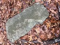 IMG_3766a.webp