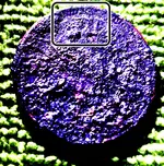 coin.webp