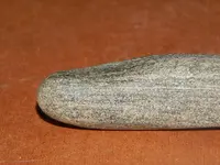 DSCN7671.webp
