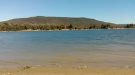 TNRivera.webp