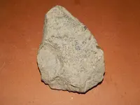 DSCN7575.webp