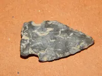 DSCN7676.webp
