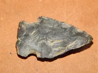 DSCN7677.webp