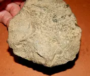 DSCN7577.webp