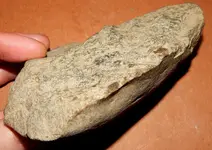 DSCN7578.webp