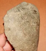 DSCN7580.webp