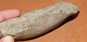 DSCN7612.webp