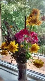 IMG_20170829_125541574_HDR.webp