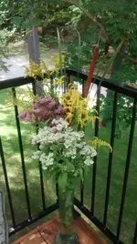 IMG_20170829_125559617.webp