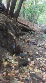 1507493699915.webp