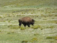 trip 082317 1.webp