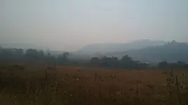 smoke1A.webp