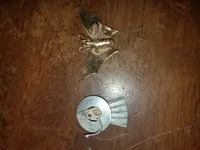 20170928_194017.webp