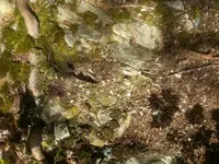 20170901_152518.webp