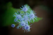 CRW_2950.webp