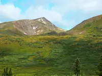 trip 081617 2.webp