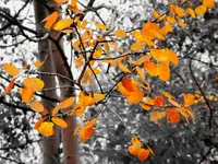 trip 081617 3.webp