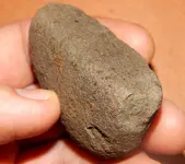 DSCN7308.webp