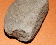 DSCN7309.webp
