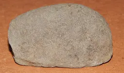 DSCN7311.webp