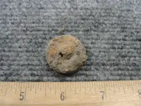 DSC03330.webp