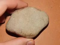 DSCN7321.webp