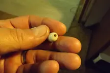 beads from French camp site 005.webp
