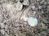 20171007_172850.webp