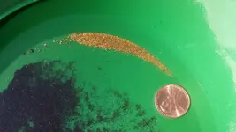 gold3.webp