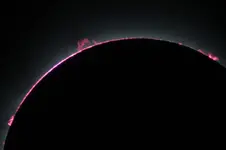 SOLARECLIPSE_LIGHT_Tv1-3200s_200iso_+28c_00631stdev_20170821-11h45m25s046msC1S.webp SOLARECLIPSE_LIGHT_Tv1-3200s_200iso_+28c_00631stdev_20170821-11h45m25s046msC1S.webp