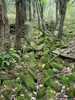 20171008_151711_resized_1.webp 20171008_151711_resized_1.webp