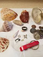 ImageUploadedByTreasureNet.com1505928232.928299.webp