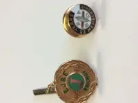 pins.webp