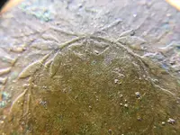 image7.webp