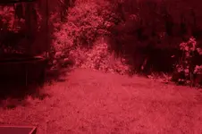 ir-test1_t3i_720nm_v1.webp