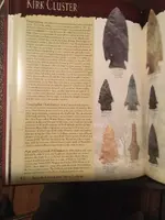 ImageUploadedByTreasureNet.com1502947074.507687.webp