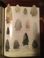 ImageUploadedByTreasureNet.com1502947099.002630.webp