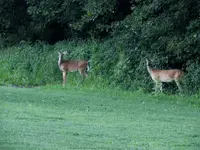 K1600_DSCN4114.webp