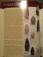 ImageUploadedByTreasureNet.com1502947164.920405.webp