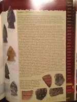 ImageUploadedByTreasureNet.com1502947188.573942.webp