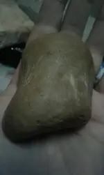 20170824_153832.webp